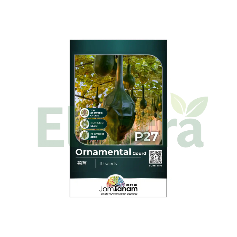 P27 ORNAMENTAL GOURD